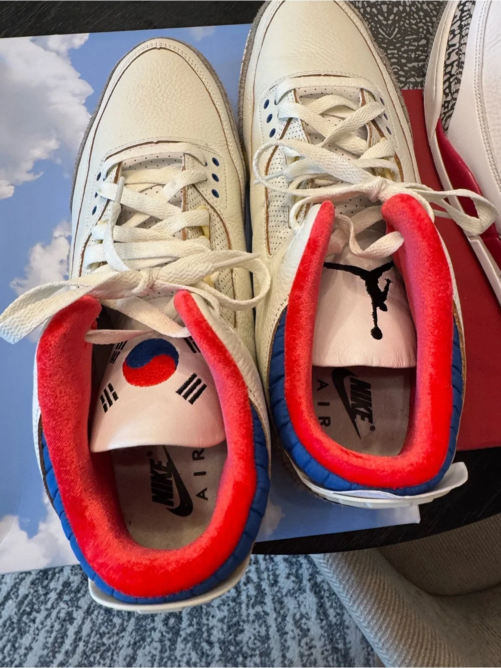 Jordan nike air